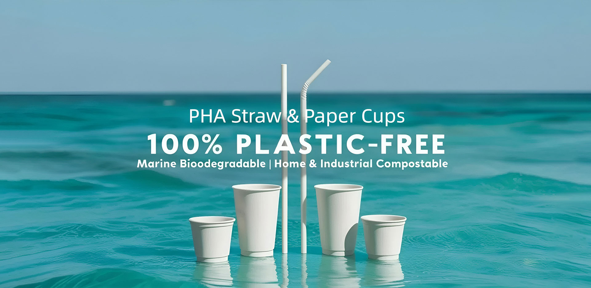 China Paper Cup Leverancier