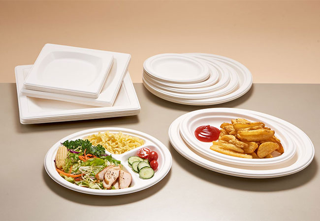 Eco wegwerp om containers te gaan: de toekomst van duurzame foodservice