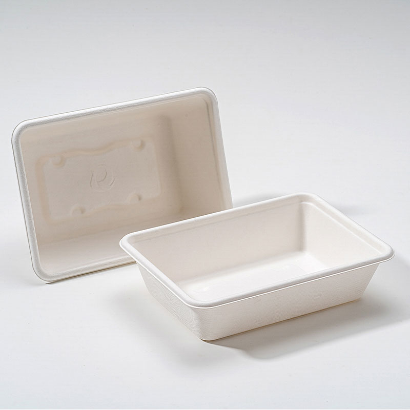 Waarom Bagasse Square Box de toekomst is van duurzame voedselverpakkingen?