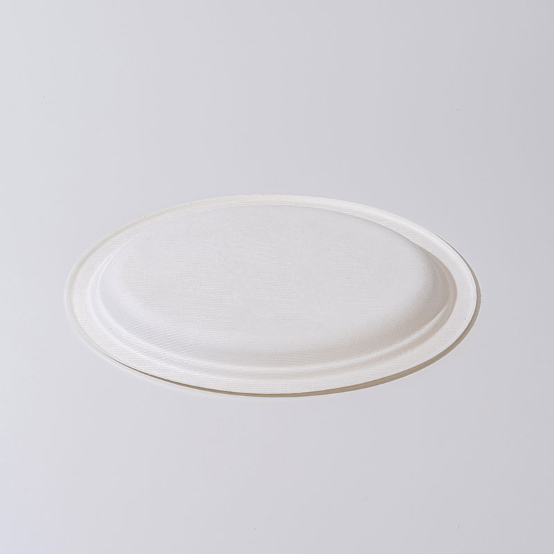 Suikerriet pulp ovale plaat